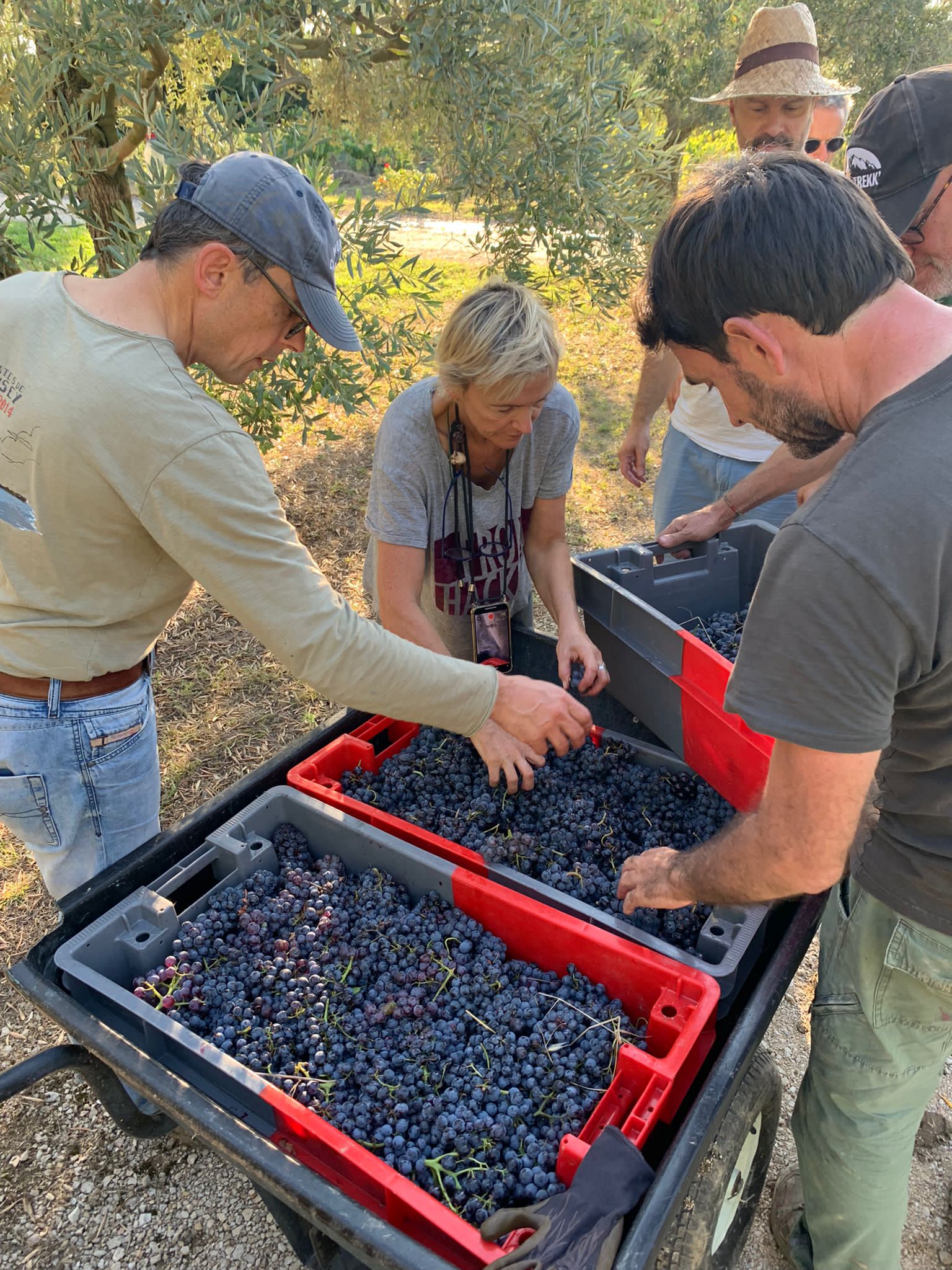 Le Vin de Blaise｜ ヌーヴェル・セレクション Nouvelles Selections